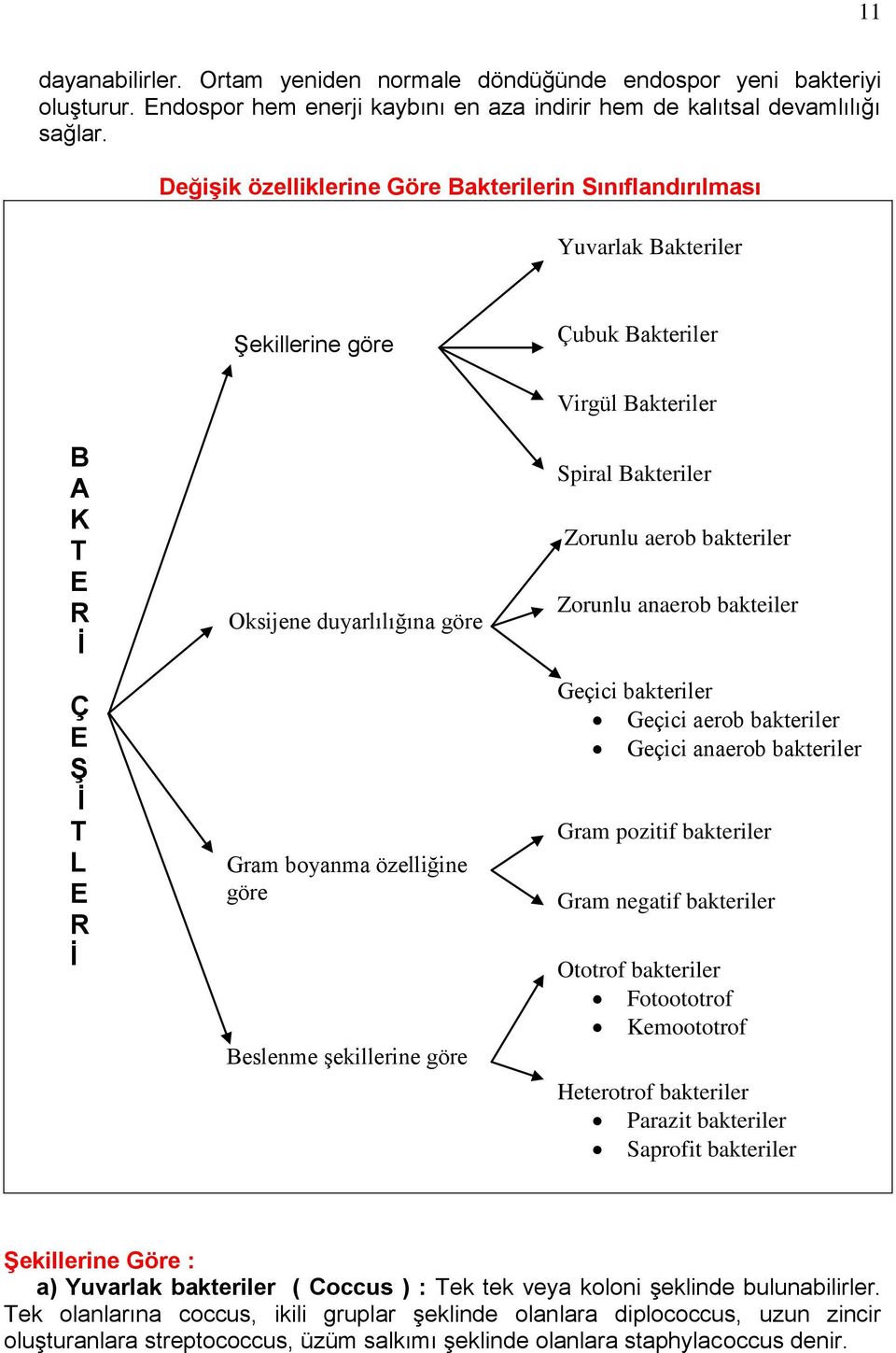 göre Beslenme şekillerine göre Virgül Bakteriler Spiral Bakteriler Zorunlu aerob bakteriler Zorunlu anaerob bakteiler Geçici bakteriler Geçici aerob bakteriler Geçici anaerob bakteriler Gram pozitif