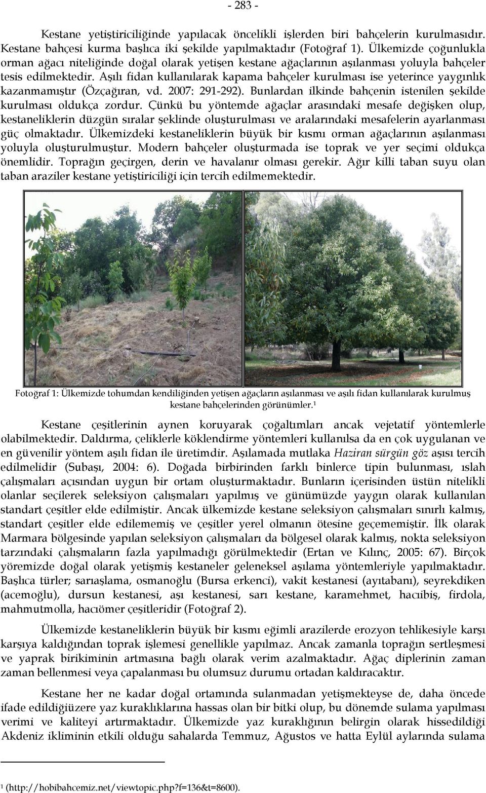 Aşılı fidan kullanılarak kapama bahçeler kurulması ise yeterince yaygınlık kazanmamıştır (Özçağıran, vd. 2007: 291-292). Bunlardan ilkinde bahçenin istenilen şekilde kurulması oldukça zordur.