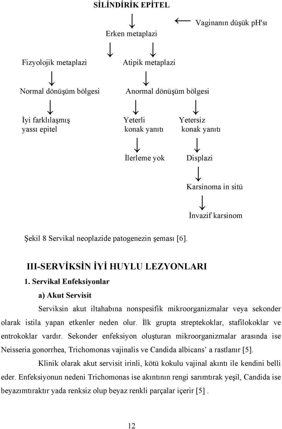 Servikal Enfeksiyonlar a) Akut Servisit Serviksin akut iltahabına nonspesifik mikroorganizmalar veya sekonder olarak istila yapan etkenler neden olur.