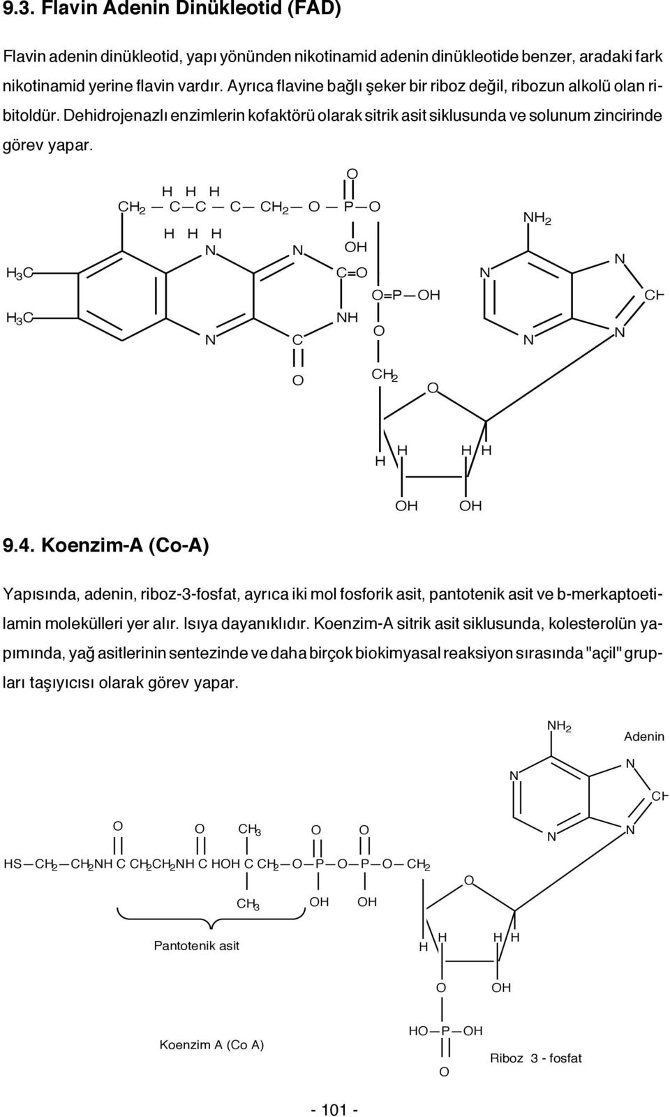 3 C C 2 C C C C 2 P C= 2 =P C 3 C C C 2 9.4. Koenzim-A (Co-A) Yapısında, adenin, riboz-3-fosfat, ayrıca iki mol fosforik asit, pantotenik asit ve b-merkaptoetilamin molekülleri yer alır.