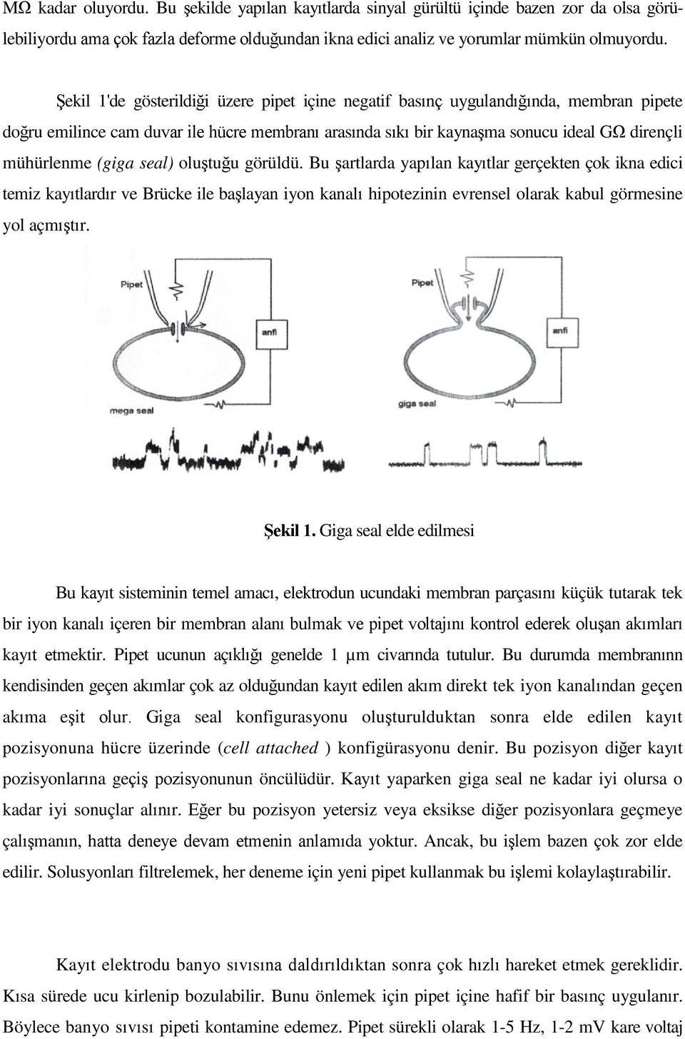 (giga seal) oluştuğu görüldü. Bu şartlarda yapılan kayıtlar gerçekten çok ikna edici temiz kayıtlardır ve Brücke ile başlayan iyon kanalı hipotezinin evrensel olarak kabul görmesine yol açmıştır.