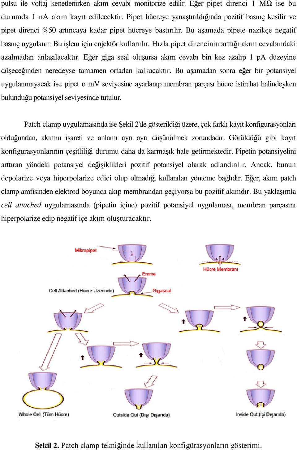 Bu işlem için enjektör kullanılır. Hızla pipet direncinin arttığı akım cevabındaki azalmadan anlaşılacaktır.