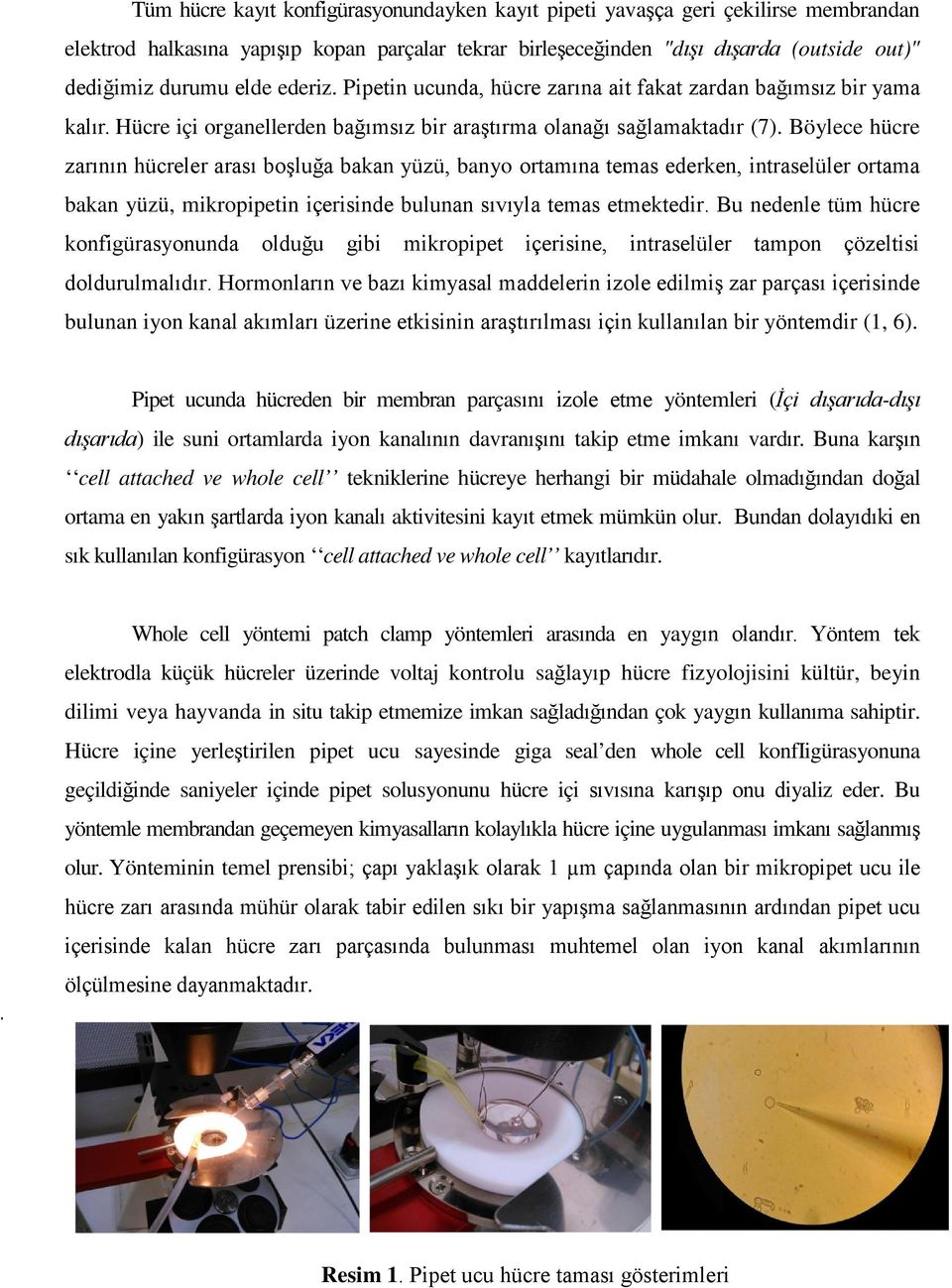 Böylece hücre zarının hücreler arası boşluğa bakan yüzü, banyo ortamına temas ederken, intraselüler ortama bakan yüzü, mikropipetin içerisinde bulunan sıvıyla temas etmektedir.