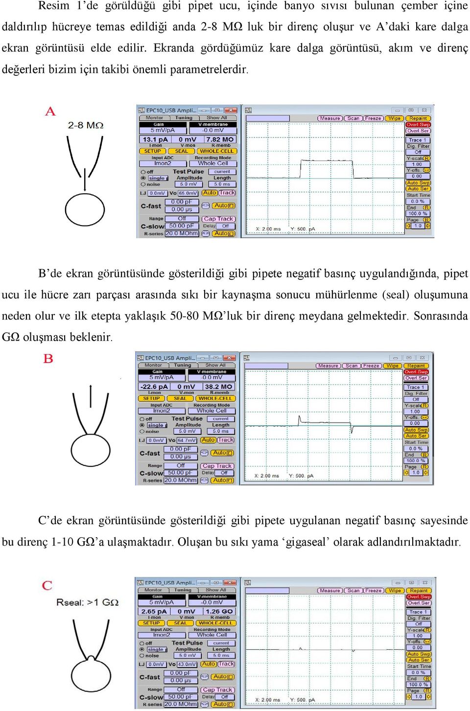 B de ekran görüntüsünde gösterildiği gibi pipete negatif basınç uygulandığında, pipet ucu ile hücre zarı parçası arasında sıkı bir kaynaşma sonucu mühürlenme (seal) oluşumuna neden olur ve