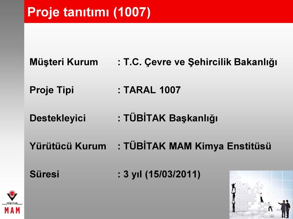 1007 Destekleyici : TÜBİTAK Başkanlığı Yürütücü