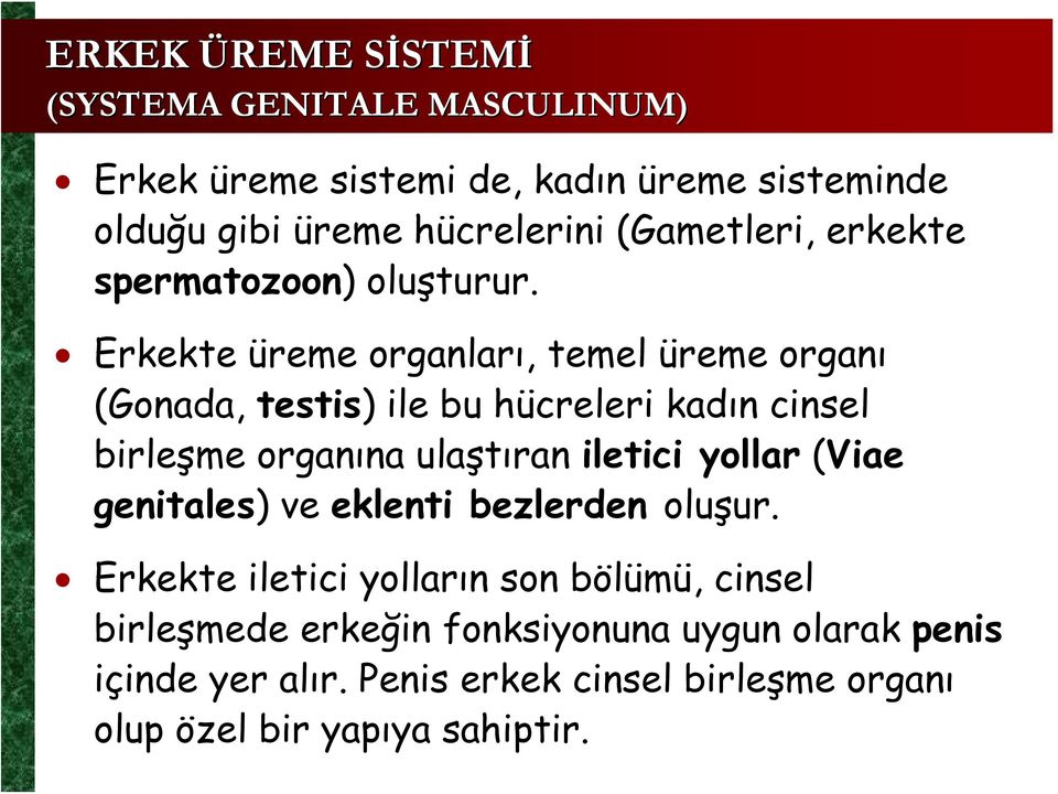 Erkekte üreme organları, temel üreme organı (Gonada, testis) ile bu hücreleri kadın cinsel birleşme organına ulaştıran iletici yollar