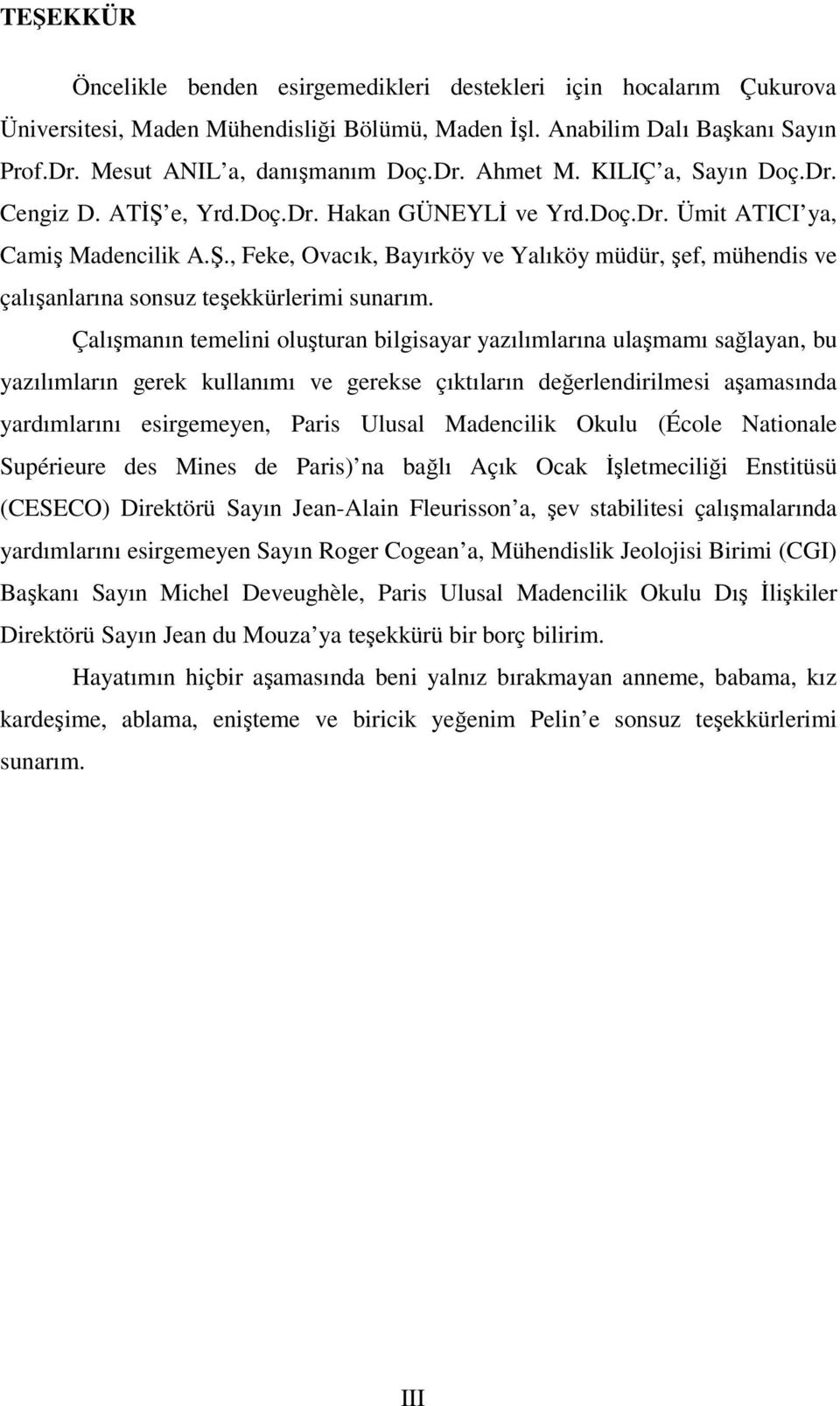 Çalışmanın temelini oluşturan bilgisayar yazılımlarına ulaşmamı sağlayan, bu yazılımların gerek kullanımı ve gerekse çıktıların değerlendirilmesi aşamasında yardımlarını esirgemeyen, Paris Ulusal