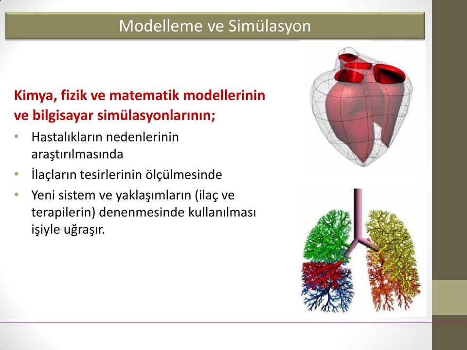 araştırılmasında İlaçların tesirlerinin ölçülmesinde Yeni sistem