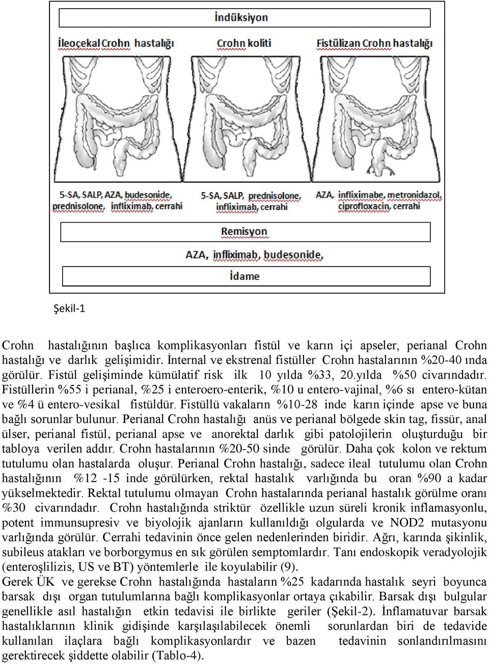 Fistüllerin %55 i perianal, %25 i enteroero-enterik, %10 u entero-vajinal, %6 sı entero-kütan ve %4 ü entero-vesikal fistüldür.