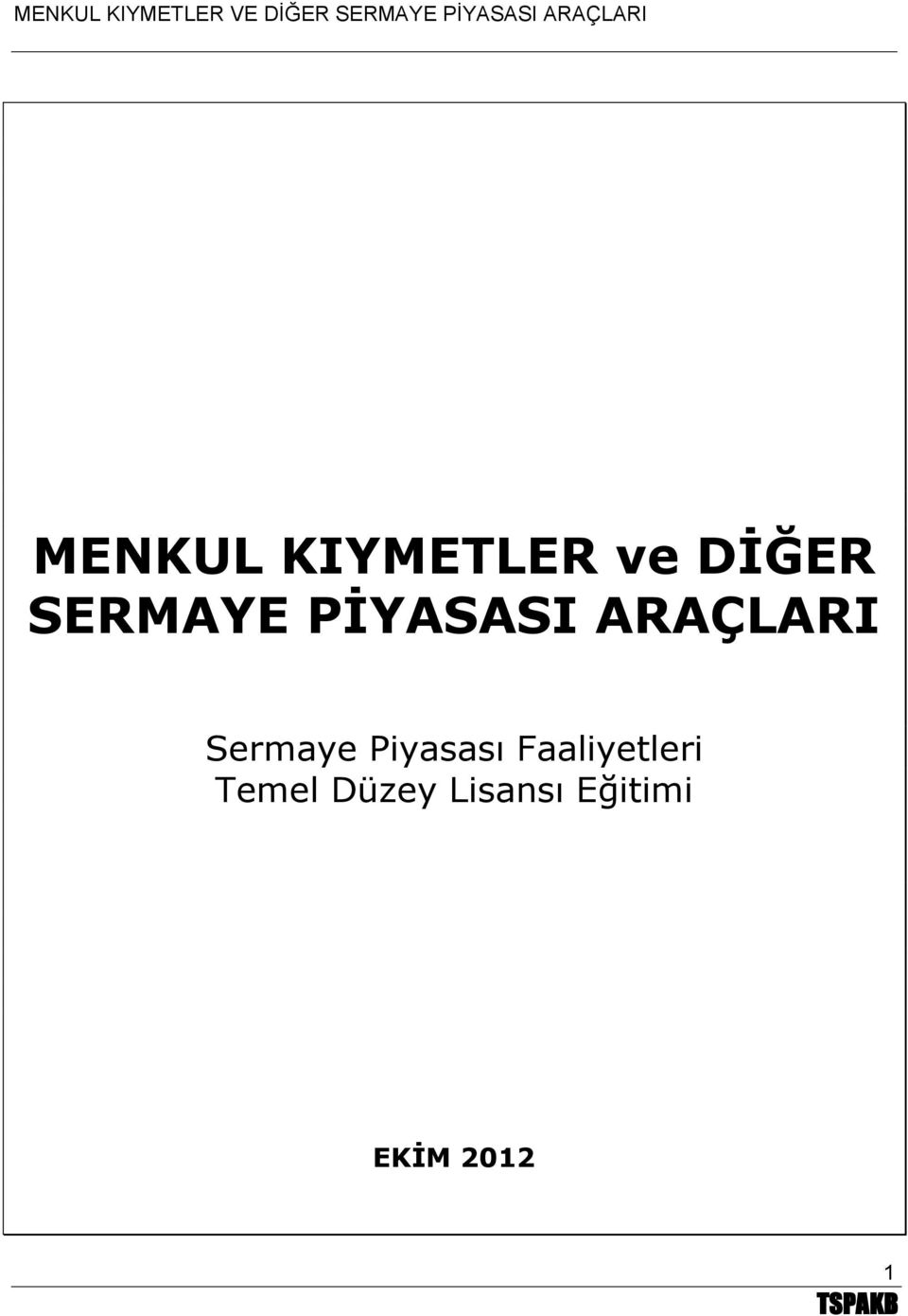 Sermaye Piyasası Faaliyetleri