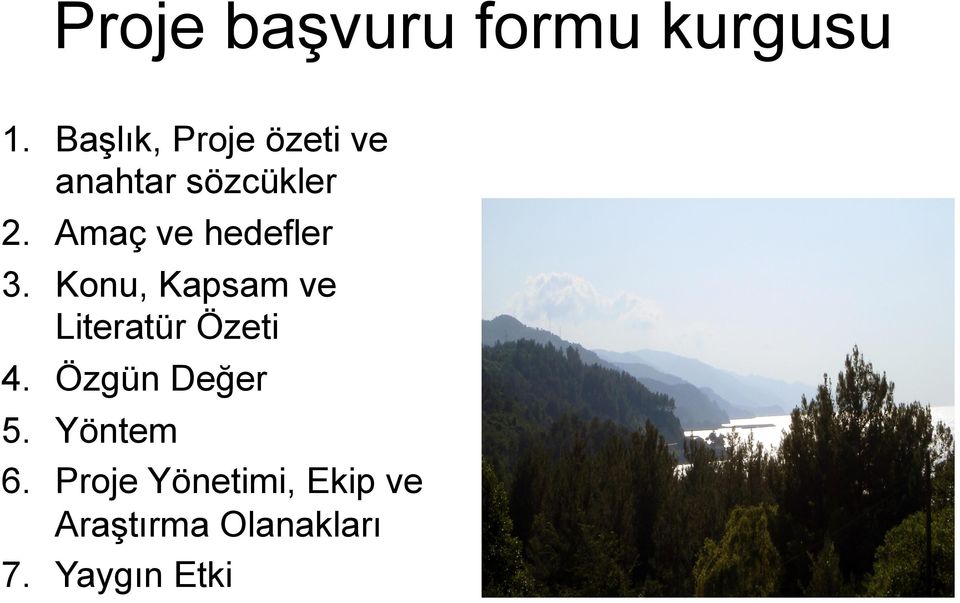 Amaç ve hedefler 3. Konu, Kapsam ve Literatür Özeti 4.