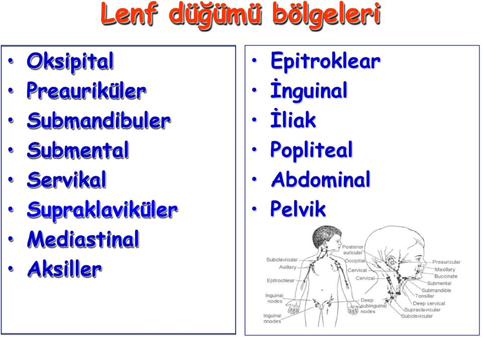 Servikal Supraklaviküler Mediastinal