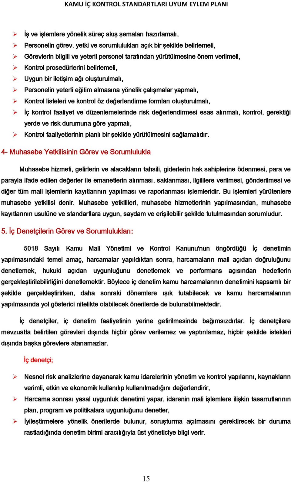 formları oluşturulmalı, İç kontrol faaliyet ve düzenlemelerinde risk değerlendirmesi esas alınmalı, kontrol, gerektiği yerde ve risk durumuna göre yapmalı, Kontrol faaliyetlerinin planlı bir şekilde