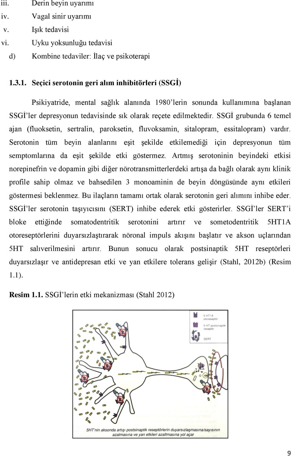 SSGİ grubunda 6 temel ajan (fluoksetin, sertralin, paroksetin, fluvoksamin, sitalopram, essitalopram) vardır.