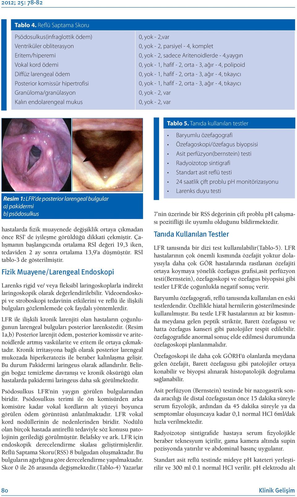 endolarengeal mukus 0, yok - 2,var 0, yok - 2, parsiyel - 4, komplet 0, yok - 2, sadece Aritenoidlerde - 4,yaygın 0, yok - 1, hafif - 2, orta - 3, ağır - 4, polipoid 0, yok - 1, hafif - 2, orta - 3,