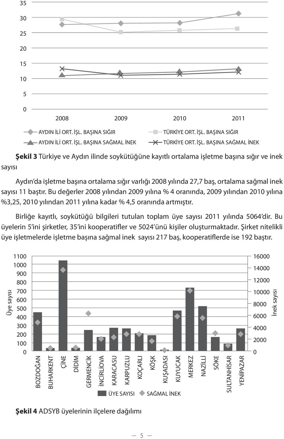 BAŞINA SAĞMAL İNEK TÜRKİYE ORT. İŞL.