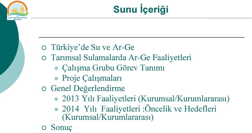 Değerlendirme 2013 Yılı Faaliyetleri (Kurumsal/Kurumlararası)