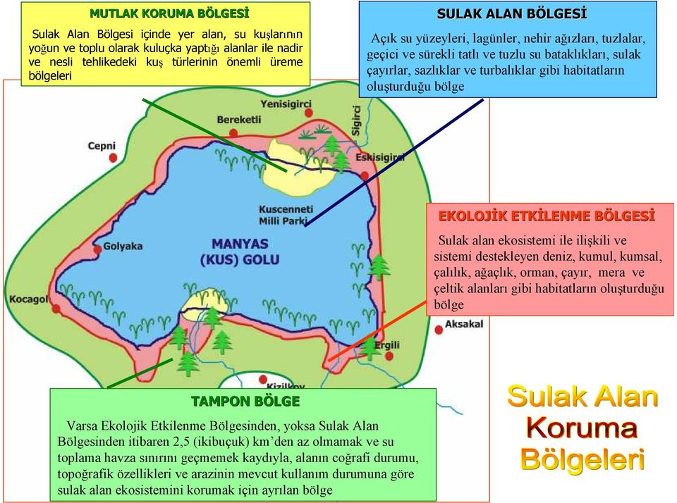 bölge EKOLOJĐK K ETKĐLENME BÖLGESB LGESĐ Sulak alan ekosistemi ile ilişkili ve sistemi destekleyen deniz, kumul, kumsal, çalılık, ağaçlık, orman, çayır, mera ve çeltik alanları gibi habitatların