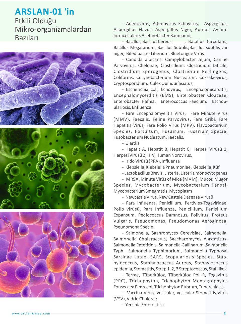 Canine Parvovirus, Chelonae, Clostridium, Clostridium Dificile, Clostridium Sporogenus, Clostridium Perfingens, Coliforms, Corynebacterium Nucleatum, Coxsakievirus, Cryptosporidium, Culex