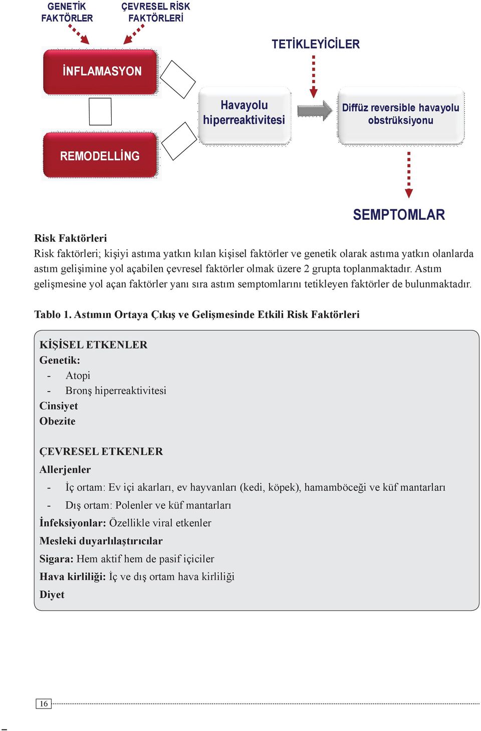 Astım gelişmesine yol açan faktörler yanı sıra astım semptomlarını tetikleyen faktörler de bulunmaktadır. Tablo 1.