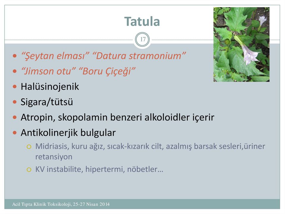 içerir Antikolinerjik bulgular 17 Midriasis, kuru ağız, sıcak kızarık