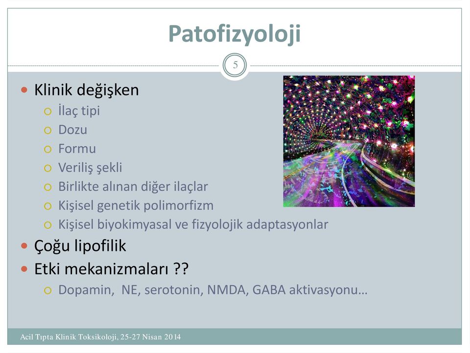 Kişisel biyokimyasal ve fizyolojik adaptasyonlar Çoğu lipofilik