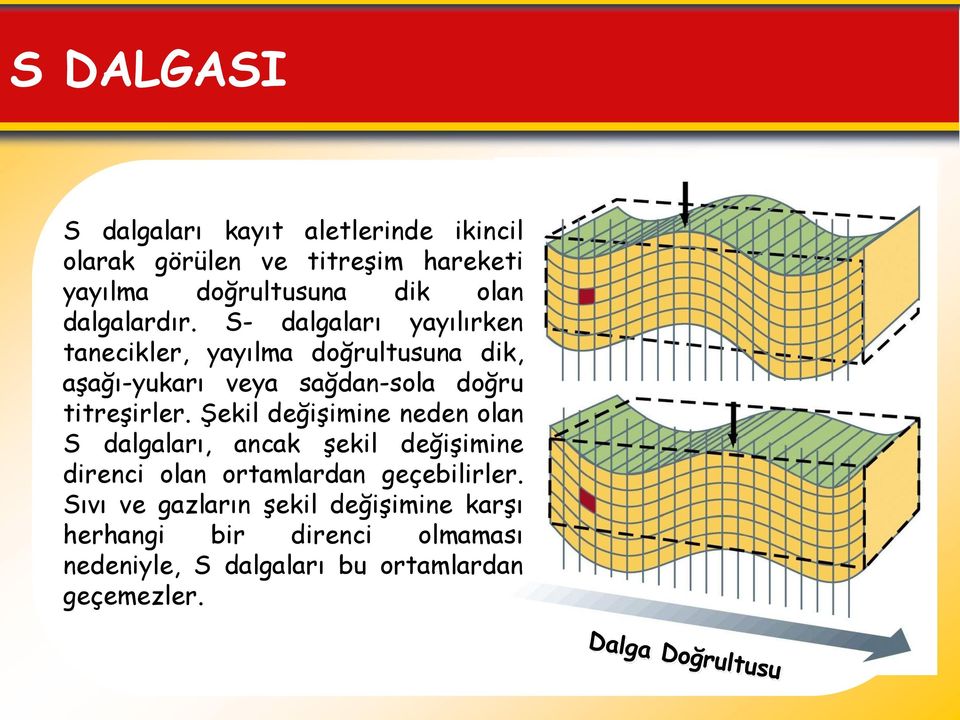 S- dalgaları yayılırken tanecikler, yayılma doğrultusuna dik, aşağı-yukarı veya sağdan-sola doğru titreşirler.