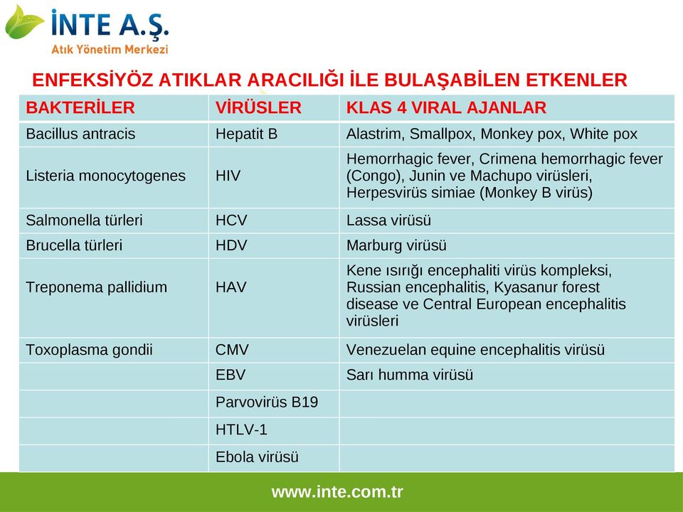 türleri HCV Lassa virüsü Brucella türleri HDV Marburg virüsü Kene ısırığı encephaliti virüs kompleksi, Russian encephalitis, Kyasanur forest disease ve Central