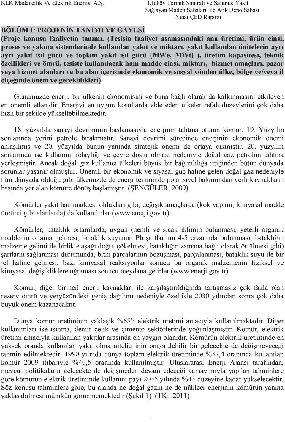 hizmet alanları ve bu alan içerisinde ekonomik ve sosyal yönden ülke, bölge ve/veya il ölçeğinde önem ve gereklilikleri) Günümüzde enerji, bir ülkenin ekonomisini ve buna bağlı olarak da kalkınmasını