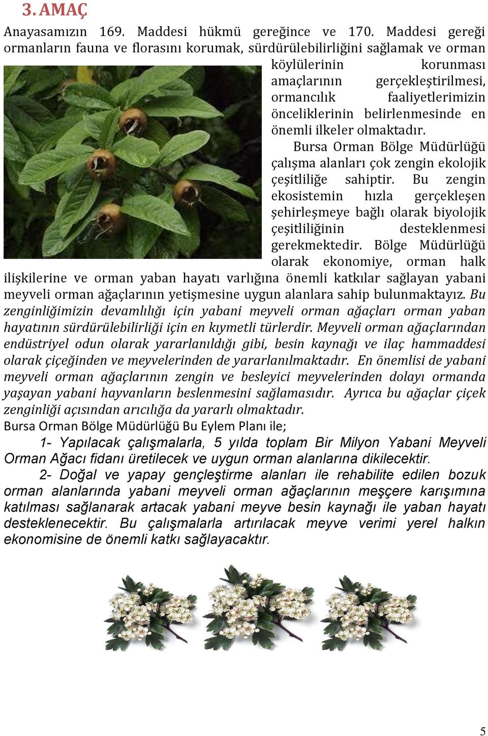 belirlenmesinde en önemli ilkeler olmaktadır. Bursa Orman Bölge Müdürlüğü çalışma alanları çok zengin ekolojik çeşitliliğe sahiptir.