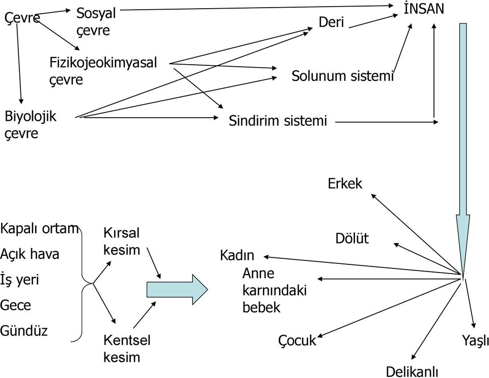 Kapalı ortam Açık hava İş yeri Gece Kırsal kesim Kadın