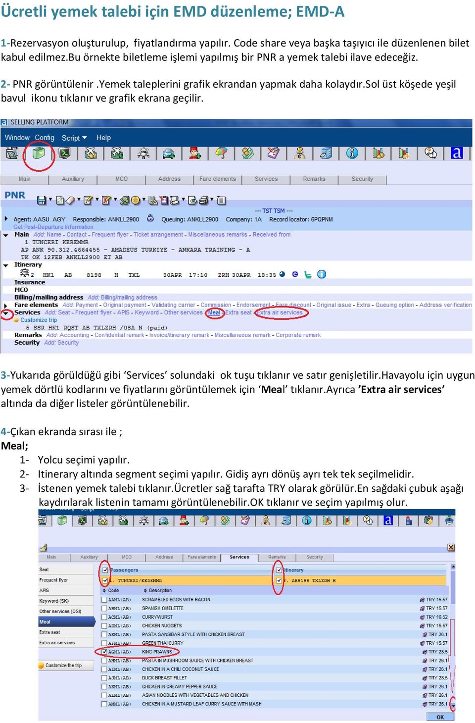 sol üst köşede yeşil bavul ikonu tıklanır ve grafik ekrana geçilir. 3-Yukarıda görüldüğü gibi Services solundaki ok tuşu tıklanır ve satır genişletilir.