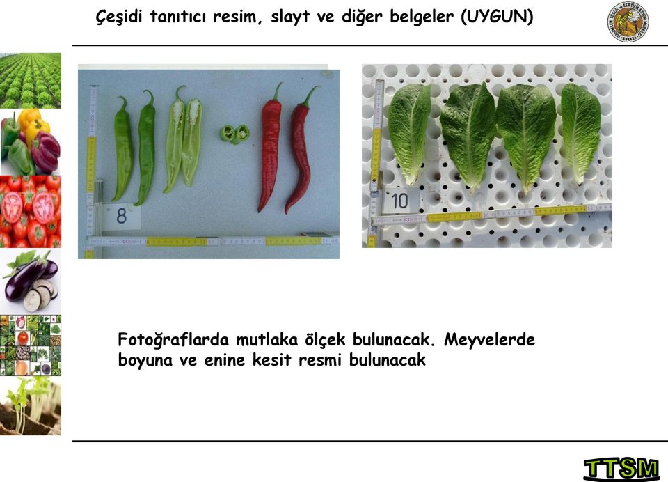 Fotoğraflarda mutlaka ölçek