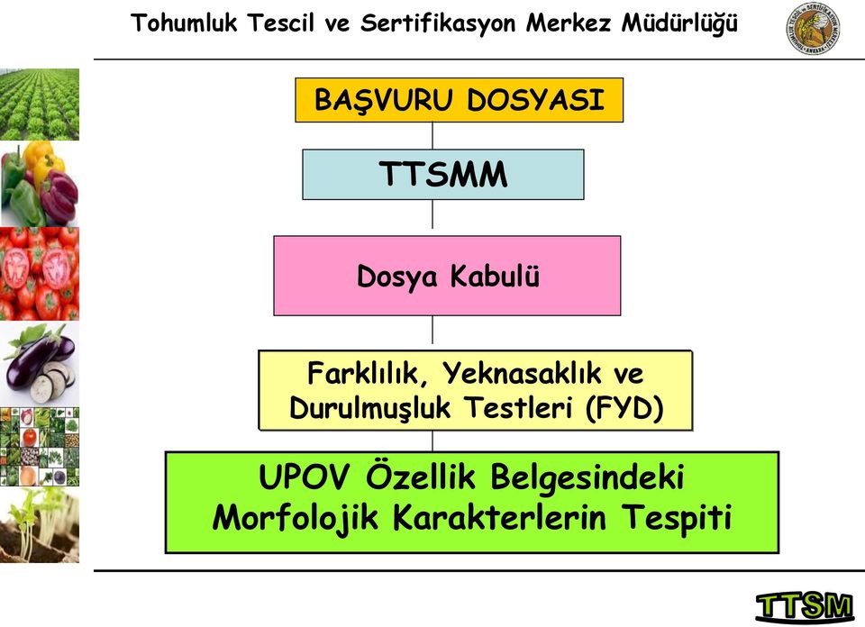 Durulmuşluk Testleri (FYD) UPOV