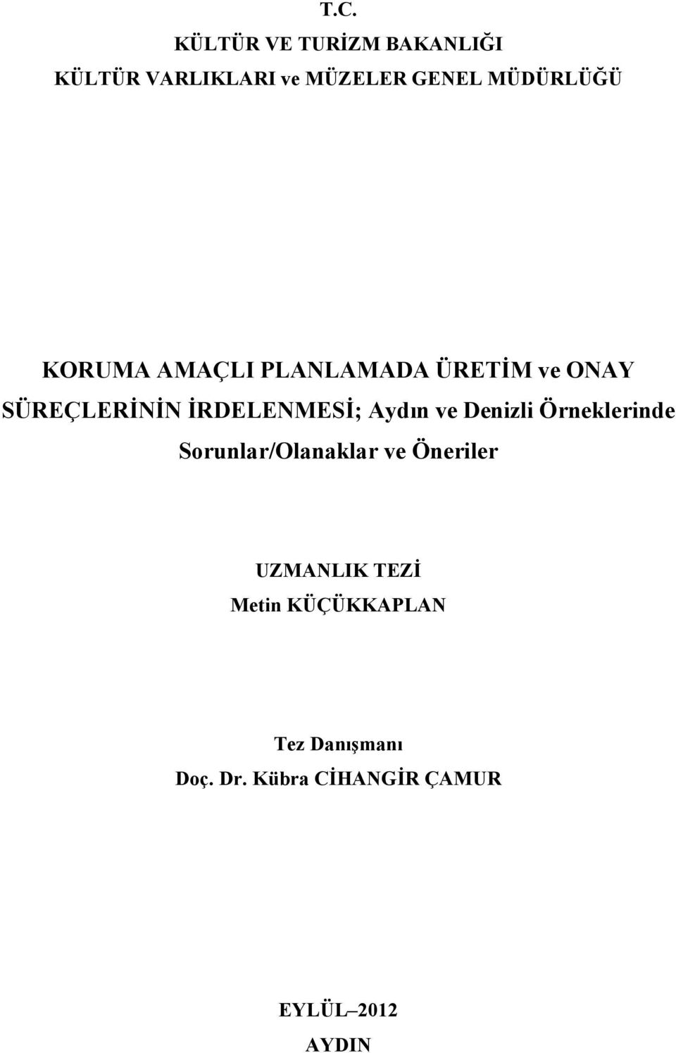 İRDELENMESİ; Aydın ve Denizli Örneklerinde Sorunlar/Olanaklar ve Öneriler