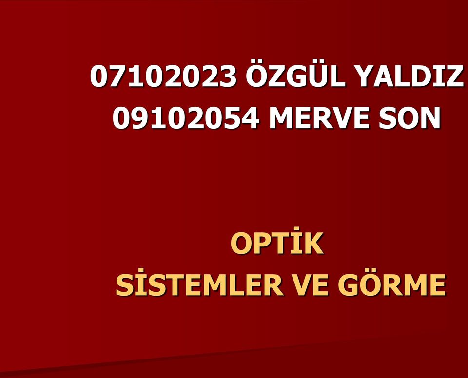 MERVE SON OPTİK