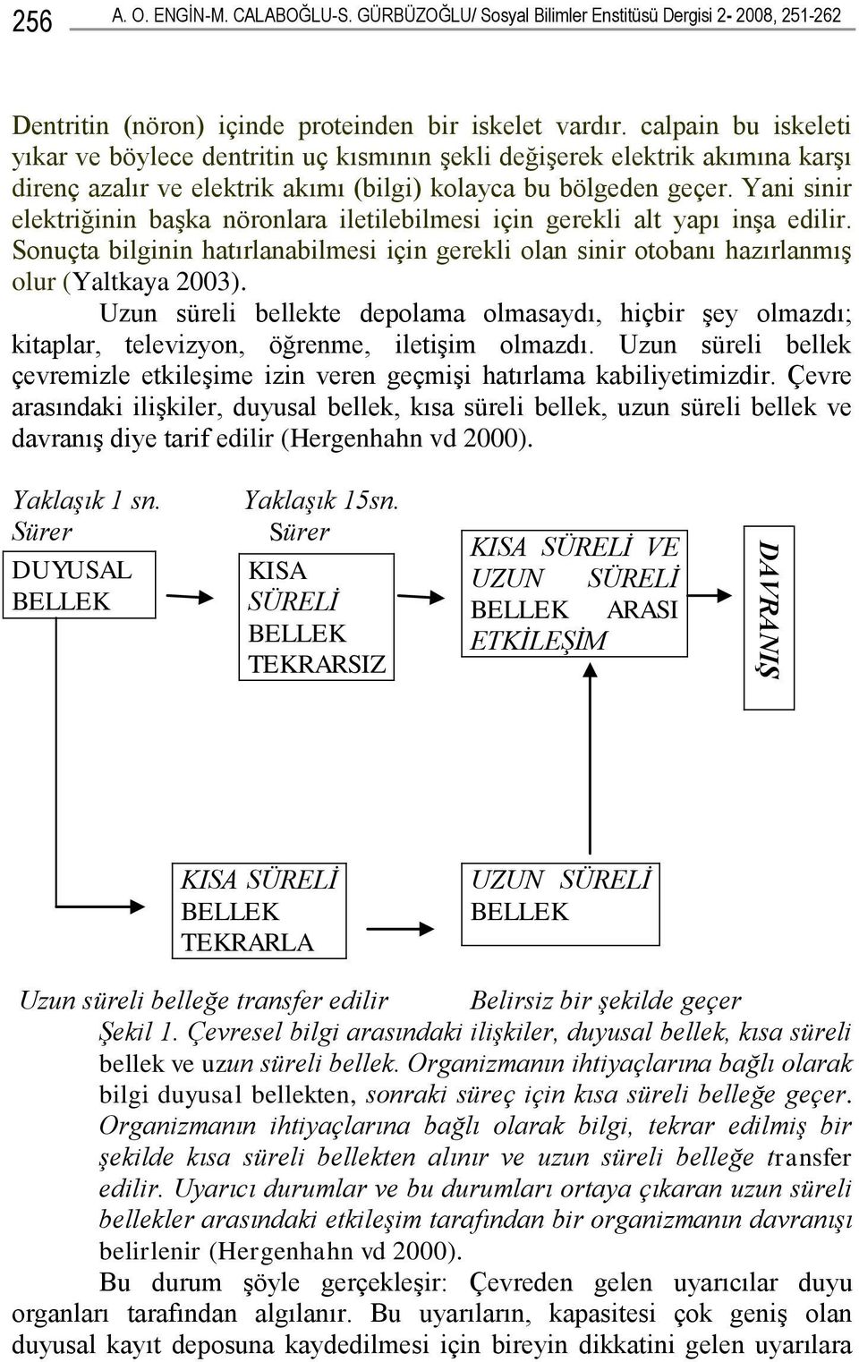 Yani sinir elektriğinin başka nöronlara iletilebilmesi için gerekli alt yapı inşa edilir. Sonuçta bilginin hatırlanabilmesi için gerekli olan sinir otobanı hazırlanmış olur (Yaltkaya 2003).