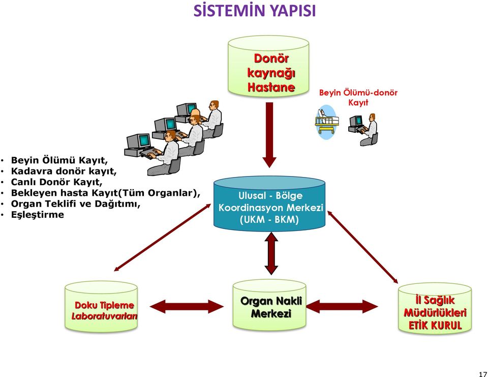 Teklifi ve Dağıtımı, Eşleştirme Ulusal - Bölge Koordinasyon Merkezi (UKM - BKM)