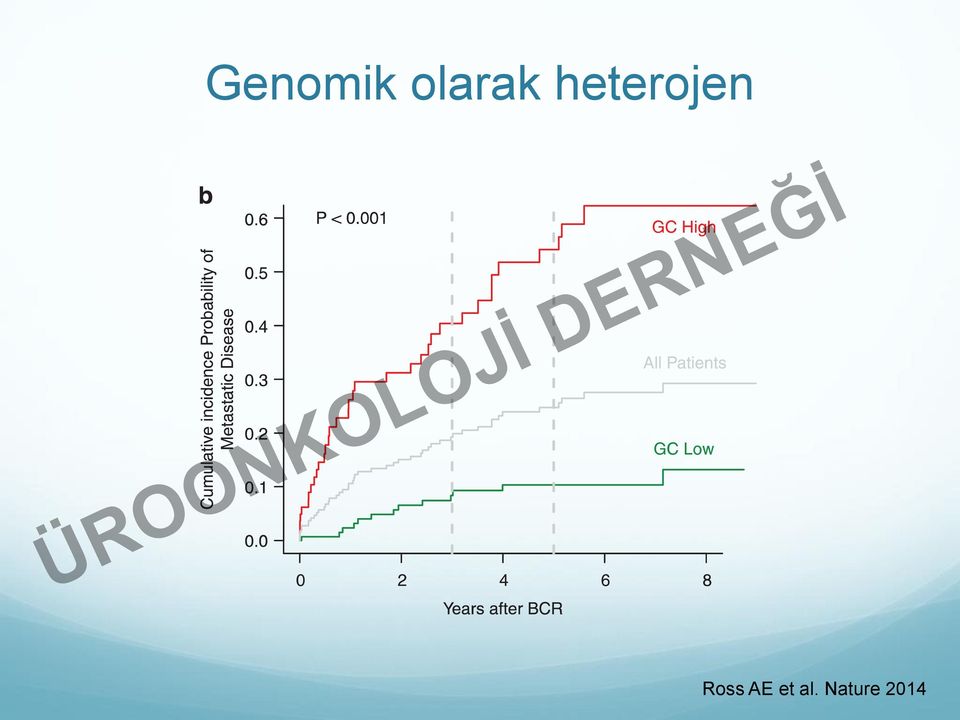 heterojen