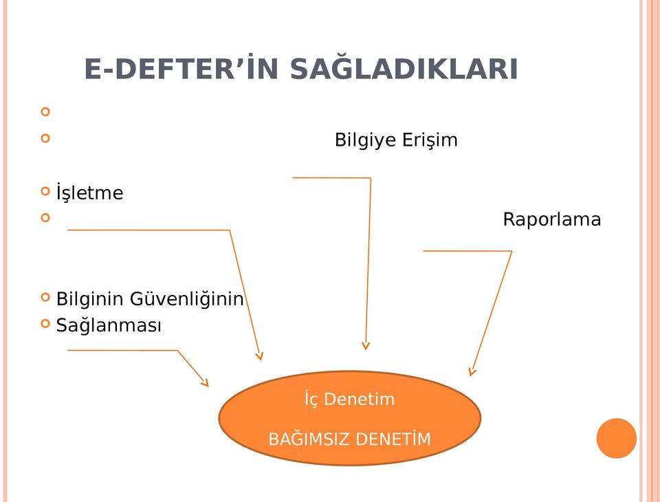 Güvenliğinin Sağlanması iç denetim