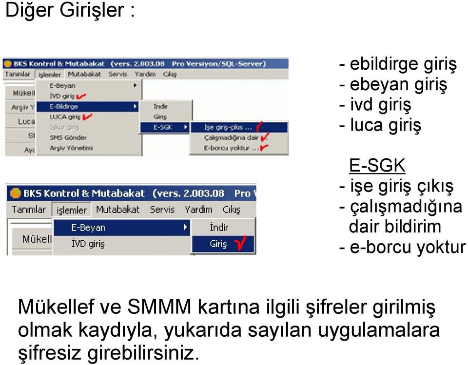 e-borcu yoktur Mükellef ve SMMM kartına ilgili şifreler girilmiş