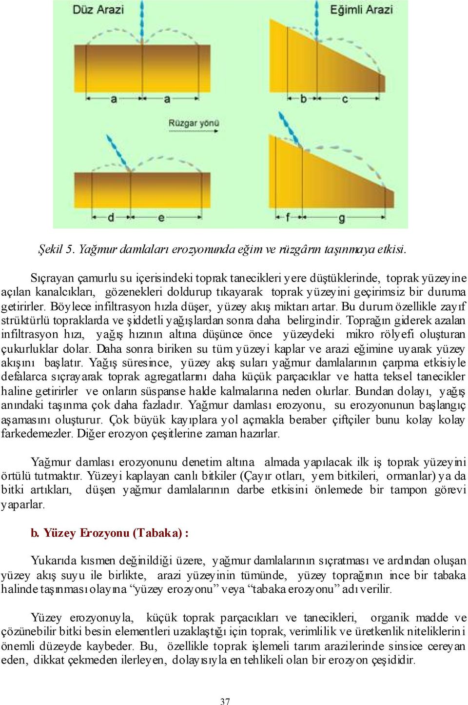 Böylece infiltrasyon hızla düşer, yüzey akış miktarı artar. Bu durum özellikle zayıf strüktürlü topraklarda ve şiddetli yağışlardan sonra daha belirgindir.