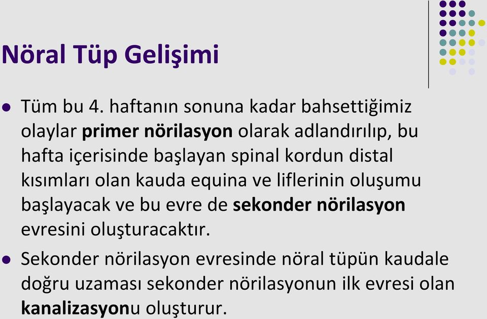 içerisinde başlayan spinal kordun distal kısımları olan kauda equina ve liflerinin oluşumu başlayacak