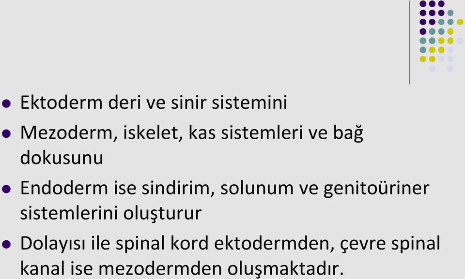 ve genitoüriner sistemlerini oluşturur Dolayısı ile spinal