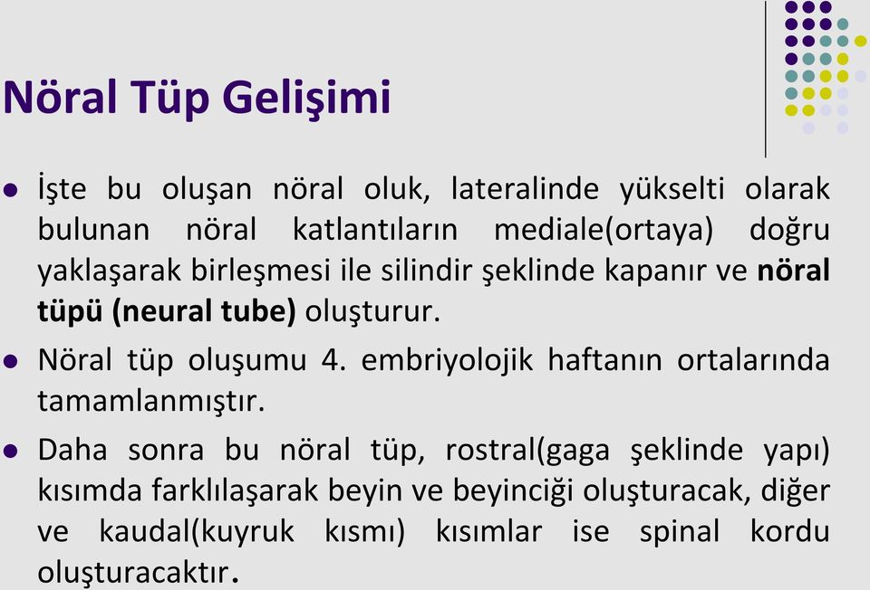 Nöral tüp oluşumu 4. embriyolojik haftanın ortalarında tamamlanmıştır.