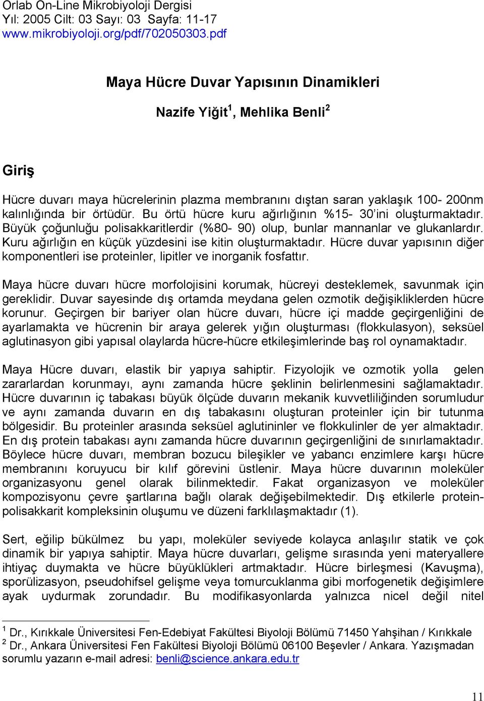 Bu örtü hücre kuru ağırlığının %15-30 ini oluşturmaktadır. Büyük çoğunluğu polisakkaritlerdir (%80-90) olup, bunlar mannanlar ve glukanlardır.