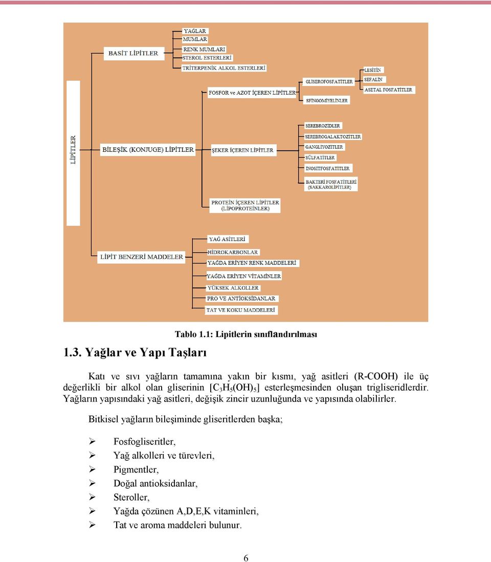 gliserinin [C 3 H 5 (OH) 5 ] esterleşmesinden oluşan trigliseridlerdir.