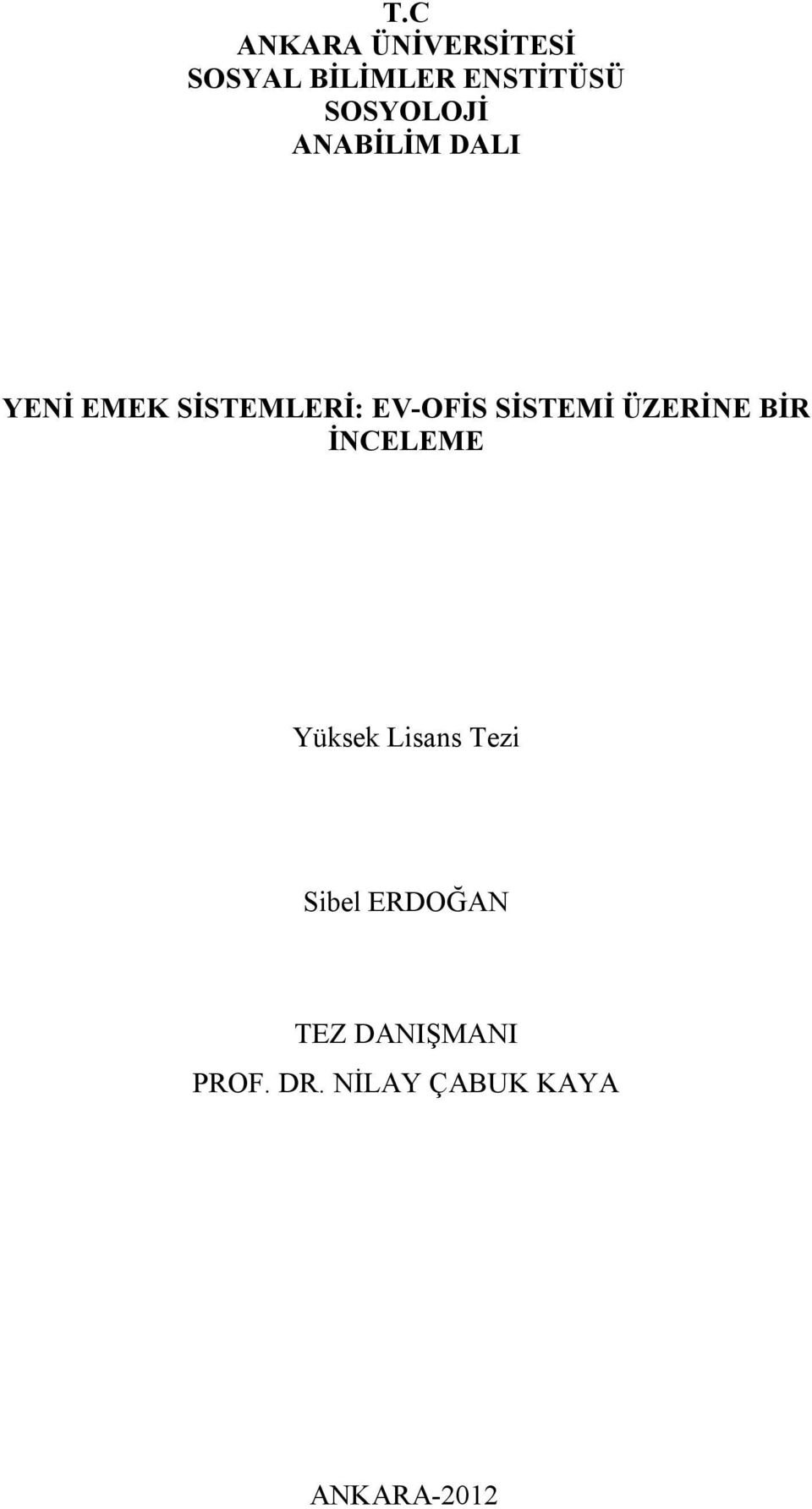 SİSTEMİ ÜZERİNE BİR İNCELEME Yüksek Lisans Tezi Sibel