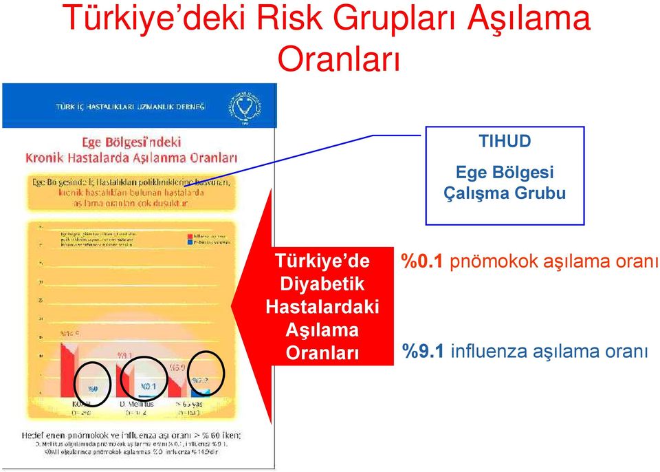 Diyabetik Hastalardaki Aşılama Oranları %0.