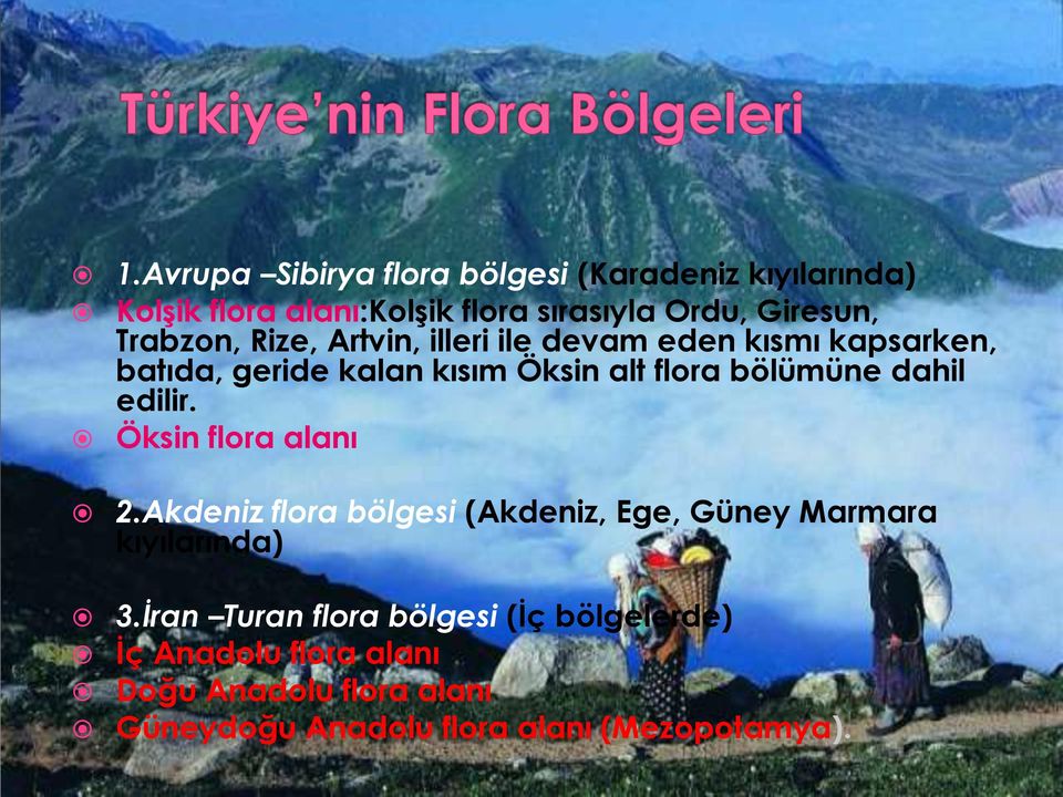 dahil edilir. Öksin flora alanı 2.Akdeniz flora bölgesi (Akdeniz, Ege, Güney Marmara kıyılarında) 3.